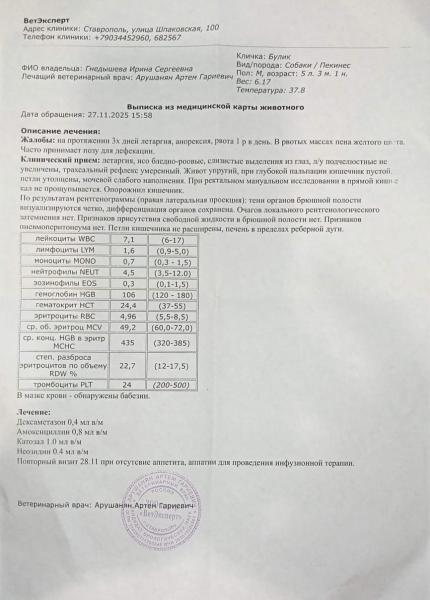 Прикрепленное изображение: Изображение 1.jpg